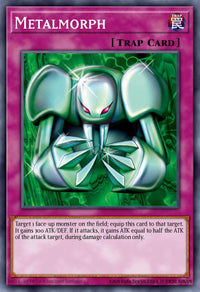 Metalmorph PP01-EN014