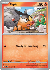 Tepig (Energy Symbol Pattern) 029/217