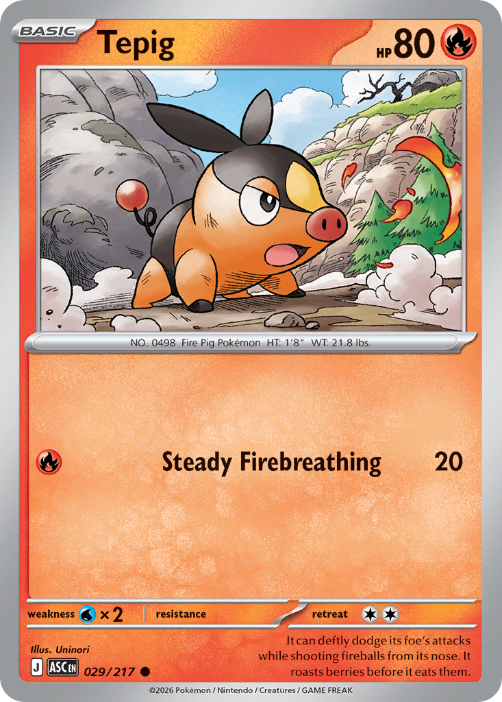 Tepig (Energy Symbol Pattern) 029/217