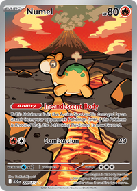 Numel 223/217