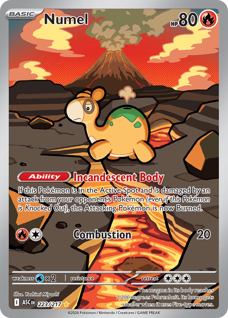 Numel 223/217